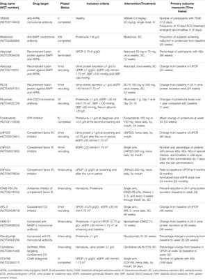 An Update on Targeted Treatment of IgA Nephropathy: An Autoimmune Perspective